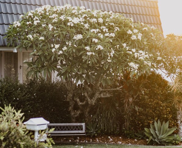A well-maintained garden with a variety of plants and a bench. - Victoria St. Beach House, Coffs Jetty
5 Bedroom PET FRIENDLY Airconditioned (Coffs Harbour)