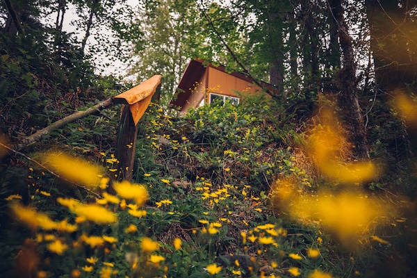 Àrea exterior de l'allotjament