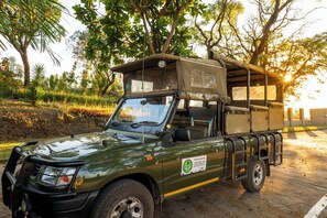 A green safari vehicle with a roof tent, parked on a road with trees and a clear sky in the background. - Chestnut Country Lodge (Mbombela)