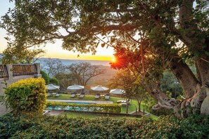 A pool area with lounge chairs and umbrellas, surrounded by lush greenery and trees. - Chestnut Country Lodge (Mbombela)