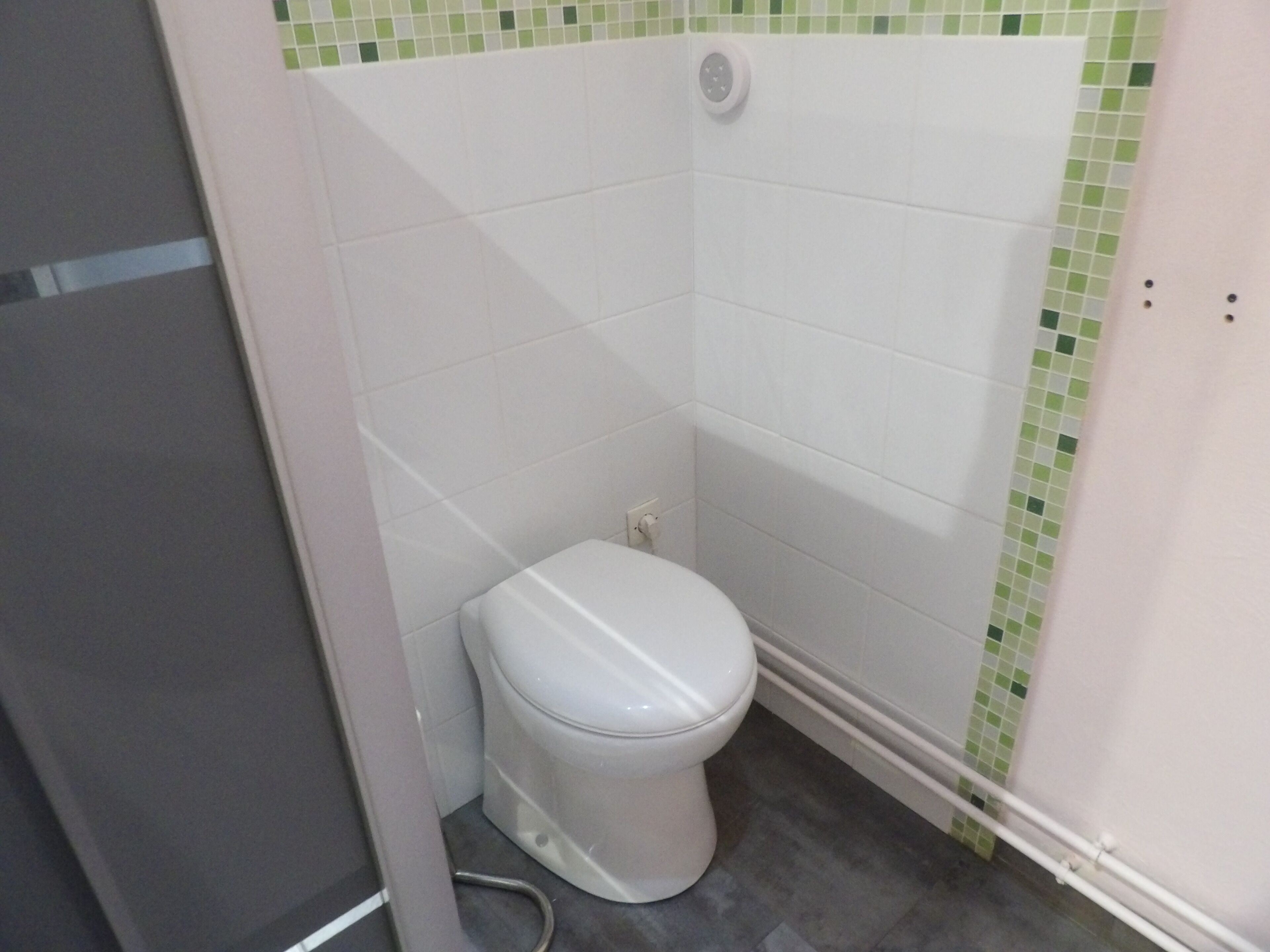 A small, white toilet in a corner with a green-tiled shower area.