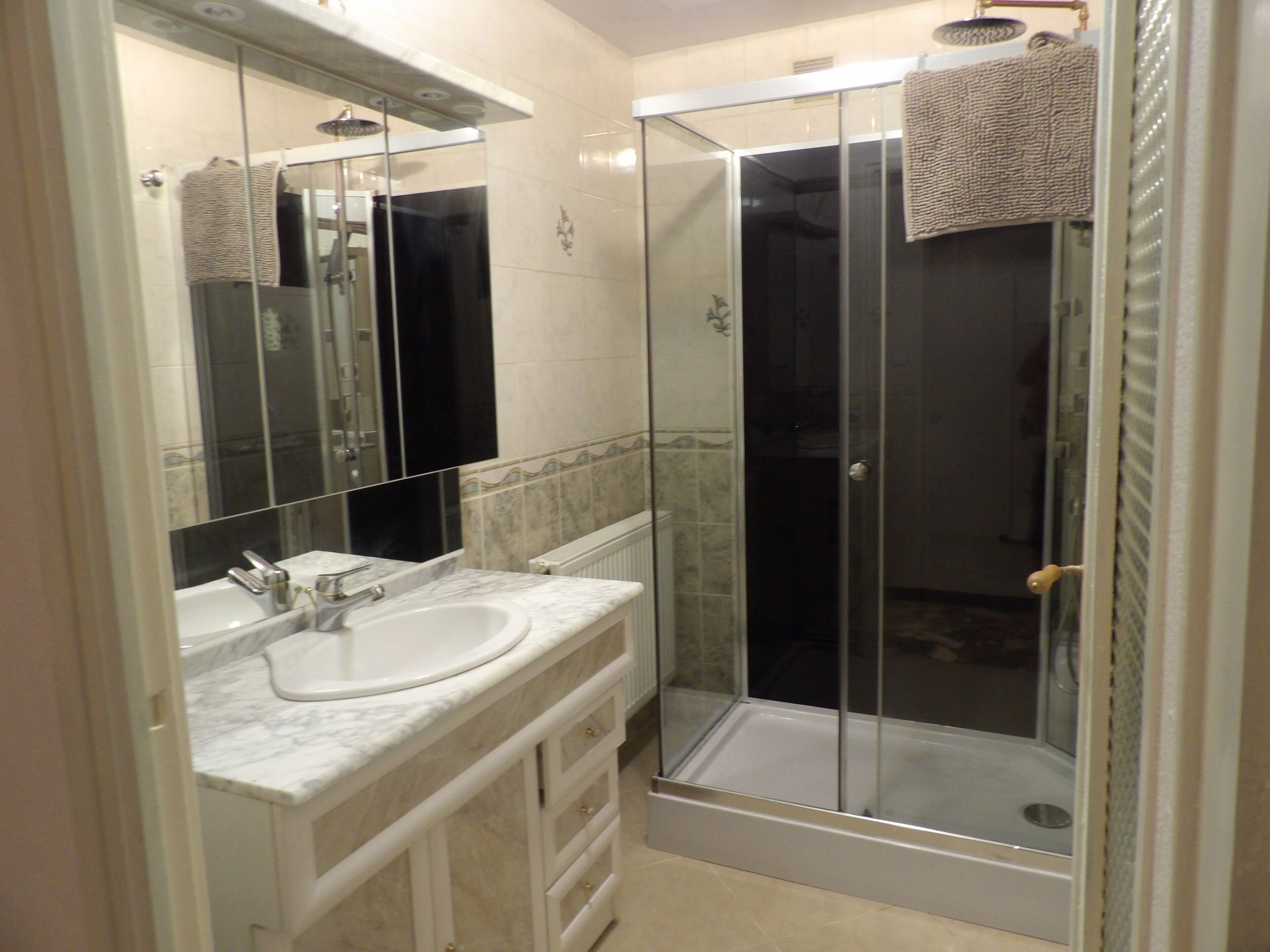 A modern bathroom with a glass-enclosed shower, a sink, and a mirror.