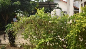 ห้องสแตนดาร์ดดับเบิล | บริเวณภายนอก
