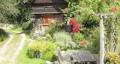 Herrliche Wohnung in einem Ferienhaus mit W-LAN, TV, Terrasse, Haustiere erlaubt und Parkplatz