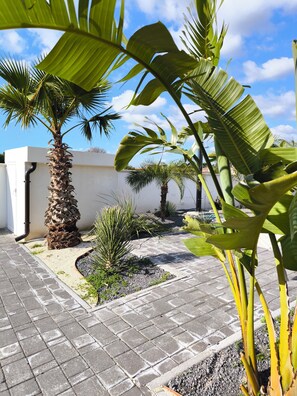 Property grounds - Vistamare cozy with beautiful sea view, with saltwater pool (Villaggio Mosè)