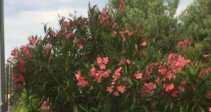 Privater Bungalow mit Tollem Meerblick in Ruhiger,naturnaher Lage