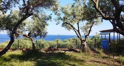 Privater Bungalow mit Tollem Meerblick in Ruhiger,naturnaher Lage