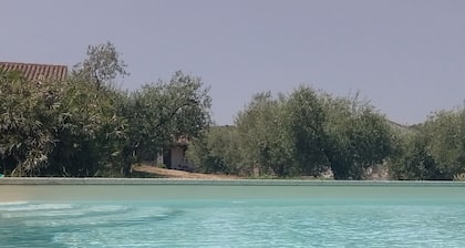 1 Bedroom Agritourism property in Galtellì