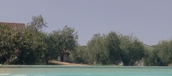 1 Bedroom Agritourism property in Galtellì