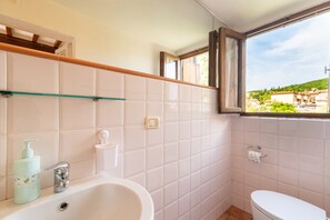 Shower, free toiletries, hair dryer, bathrobes - Apartment "La Finestra sul Fiume" with Private Terrace (Subbiano)