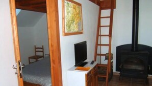 Une pièce avec un lit, une télévision, une cheminée et une échelle.