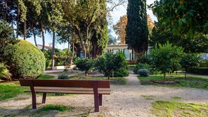 Un parc avec un banc, des arbres et un bâtiment en arrière-plan.