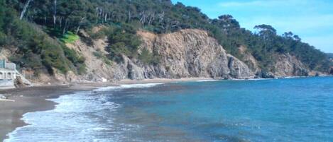 بالقرب من الشاطئ