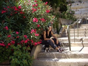 Jardines del alojamiento