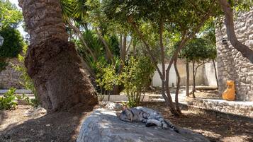 Enceinte de l’hébergement