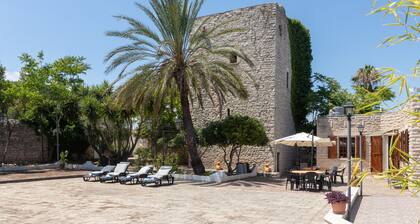 Villa 'Torre Cappavecchia' with Private Pool, Private Terrace, and Air Conditioning