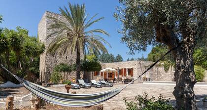 Villa 'Torre Cappavecchia' with private pool, private terrace and air conditioning