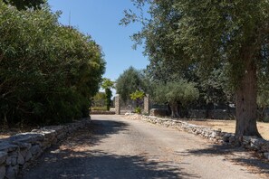 A paved pathway flanked by stone walls and dense foliage, leading to a gated entrance. - Villa 'Torre Cappavecchia' with Private Pool, Private Terrace, and Air Conditioning (Molfetta)
