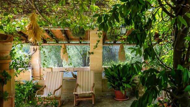 Un patio exterior con mesa y sillas, rodeado de plantas en macetas y una pérgola.