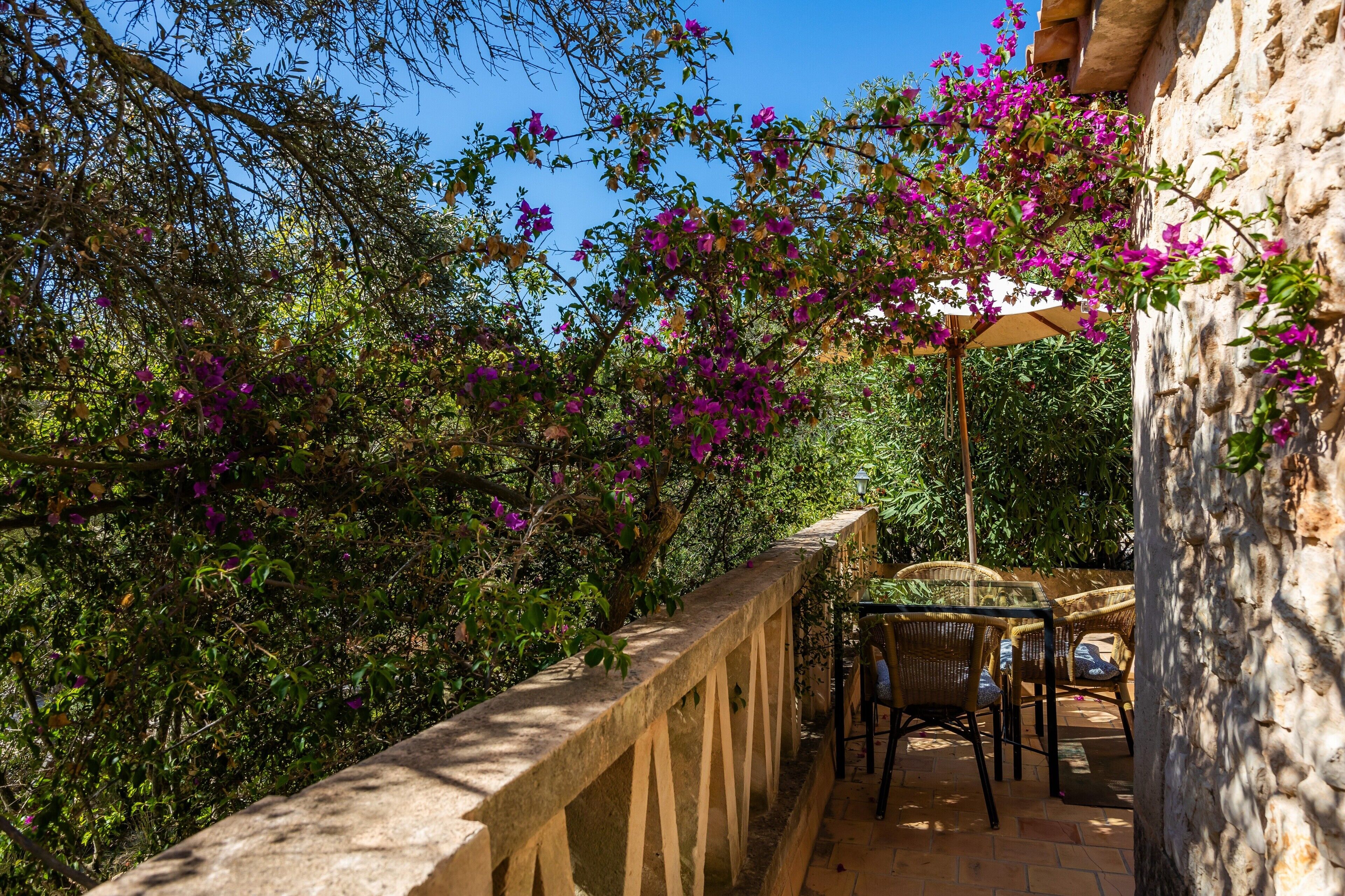 A stone balcony with a glass table and wicker chairs, surrounded by lush greenery and purple flowers.