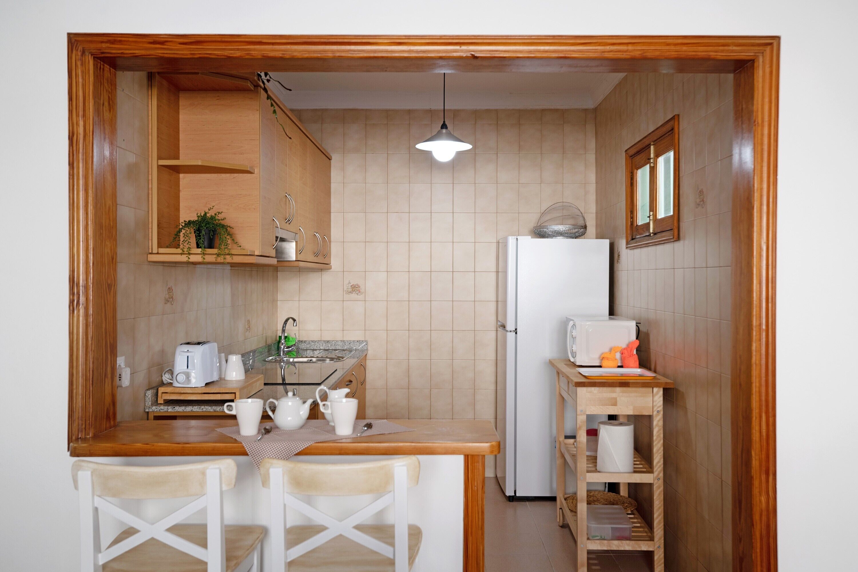 Een koelkast, een magnetron, een kookplaat