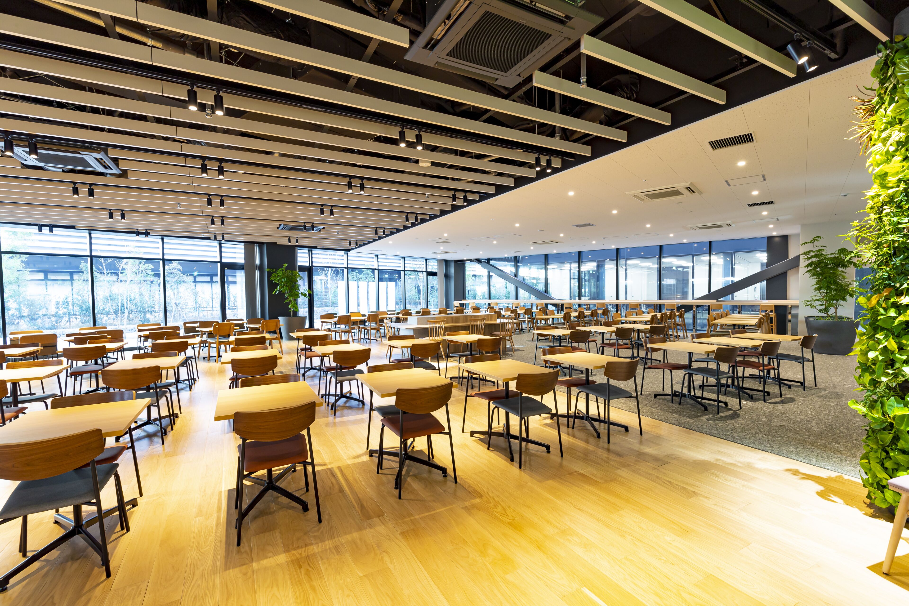 A spacious classroom with rows of desks and chairs, large windows, and a modern ceiling design.