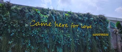 Un mur recouvert d’un feuillage dense, sur lequel on peut lire le texte « Je suis venu(e) ici par amour », avec le mot « MARINABAY » en dessous.