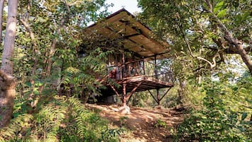 Vista desde la habitación