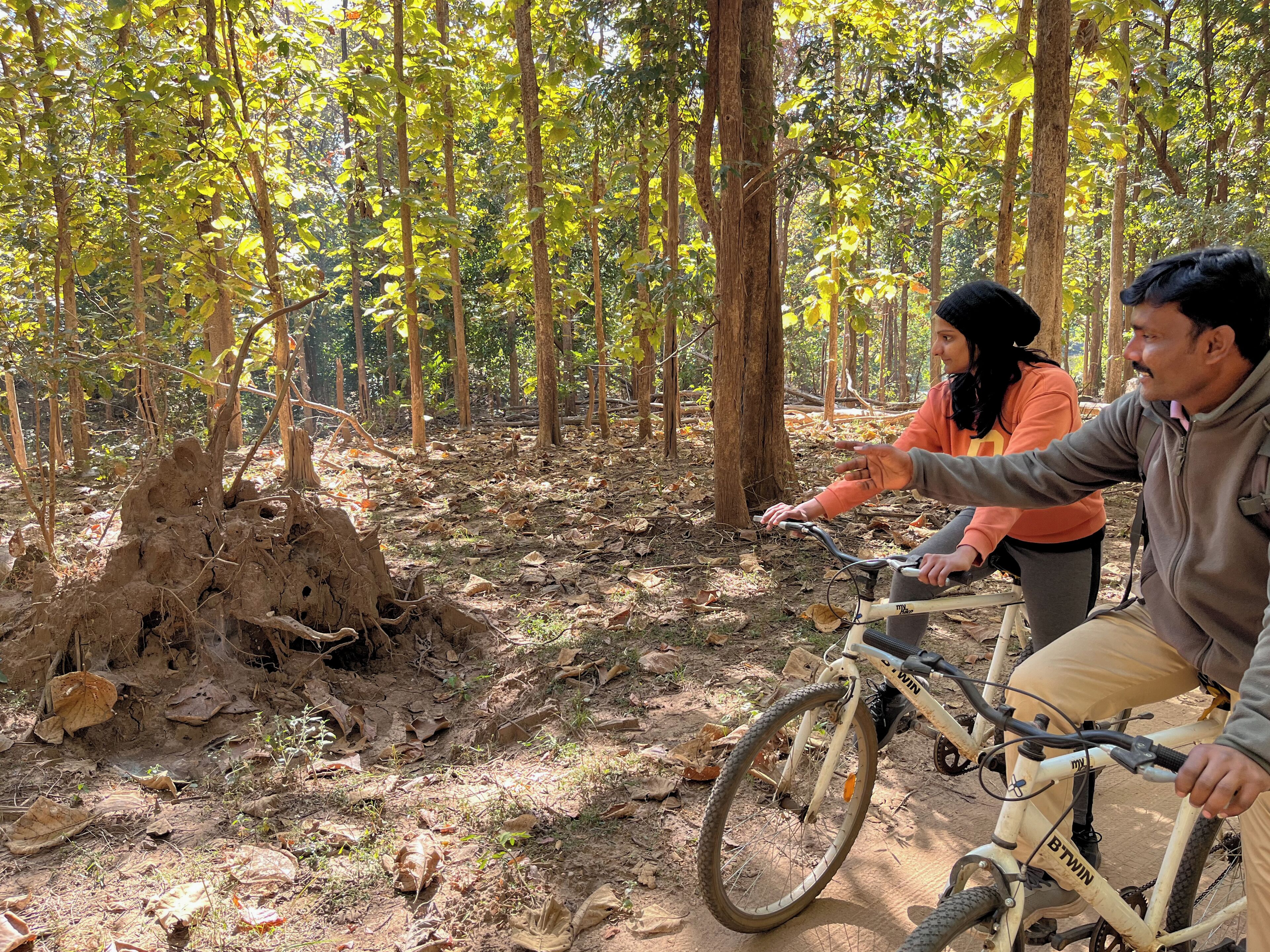 Deux personnes à vélo dans une zone boisée, près d’une grande souche d’arbre.