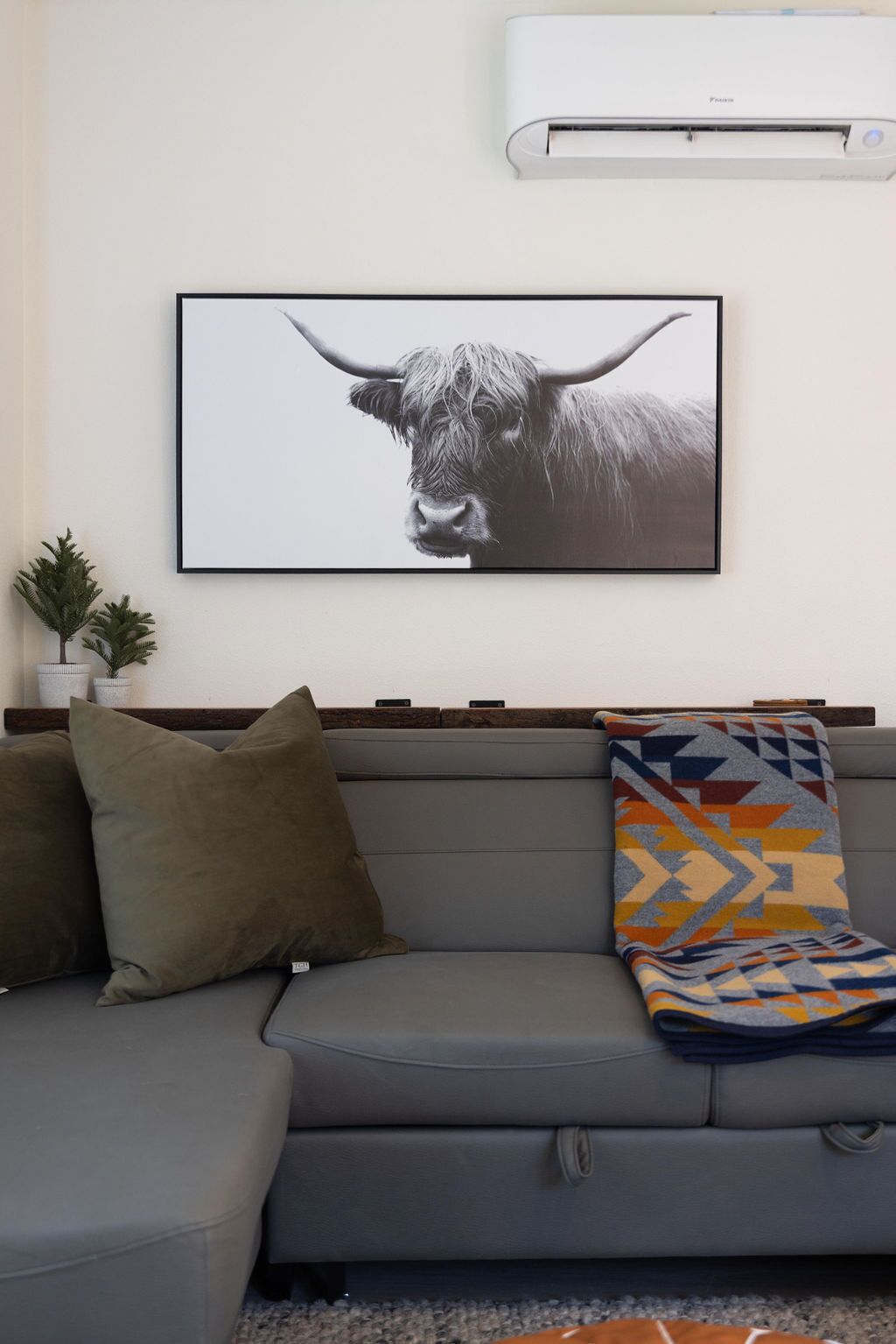 Un canapé gris, avec une photographie en noir et blanc représentant un taureau, encadrée et accrochée au-dessus, une petite plante en pot et un plaid coloré.