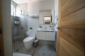 A modern bathroom with a glass-enclosed shower, a toilet, a sink, and a mirror.