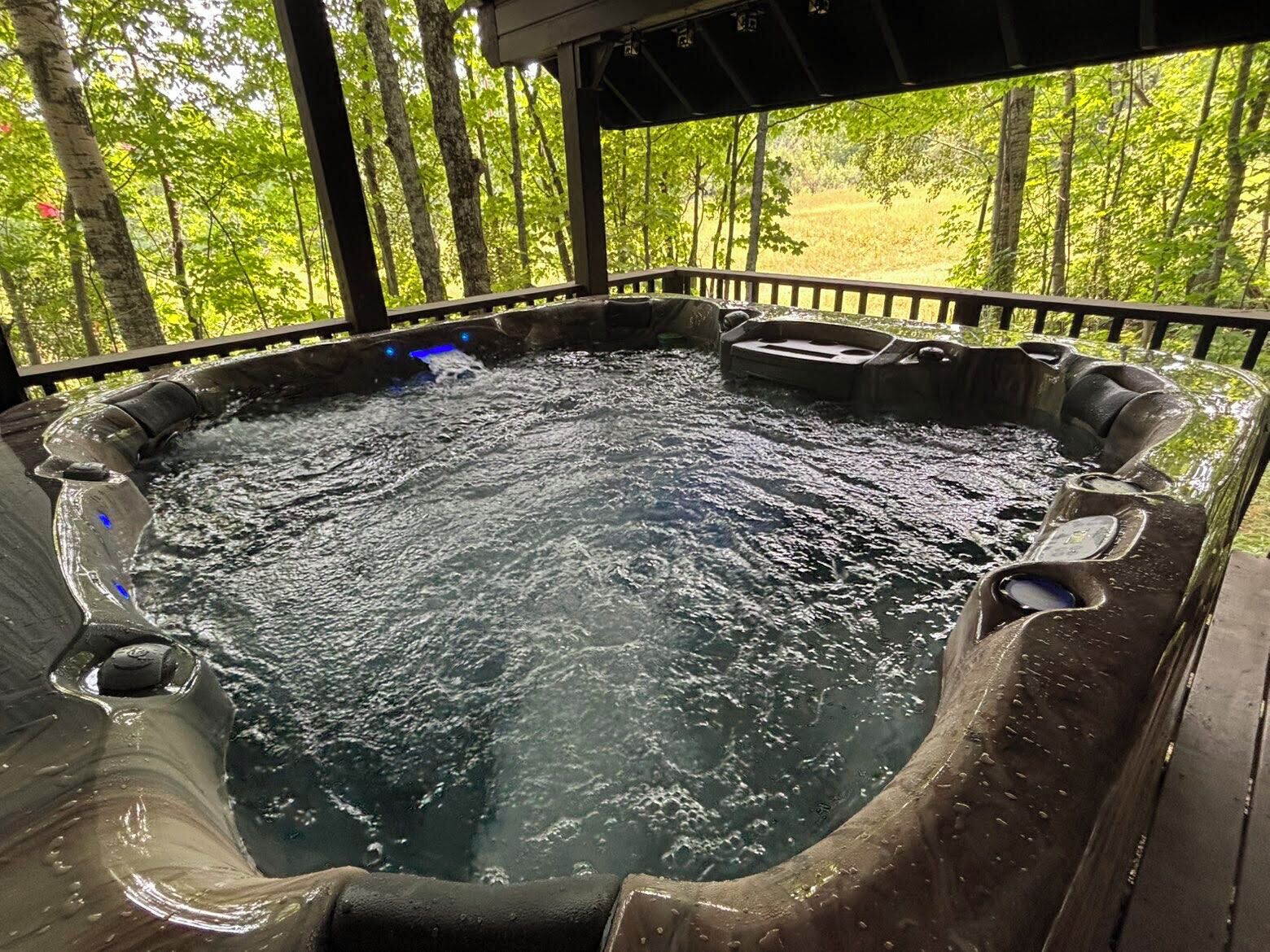 Baignoire à remous extérieure