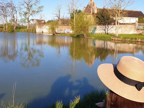 Gîte pittoresque avec nature, Wi-Fi, BBQ et terrasse privée