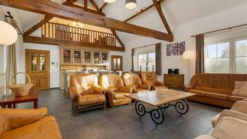 TV, fireplace, ping pong