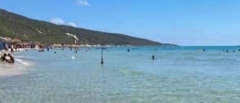 Strand