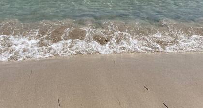 Suite Apartment with period furnishings - Dante