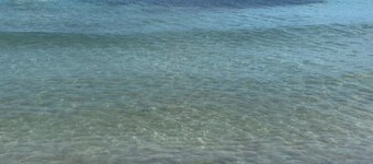 Suite Apartment with fine furnishings - Bacchus