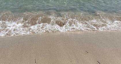 Suite Apartment with fine furnishings - Bacchus