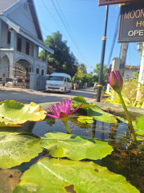Front of property - Le KhounSok Boutique Hotel (Luang Prabang)