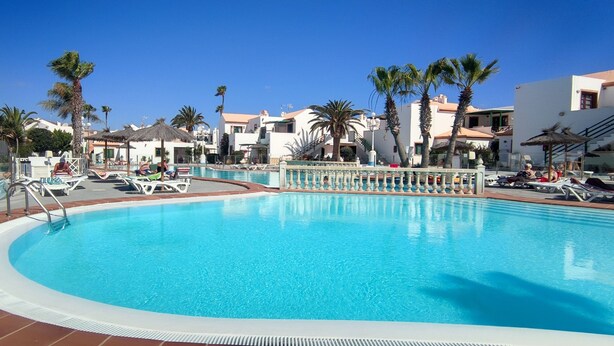 Una piscina grande con sillones de descanso y palmeras.