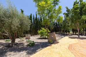 Ein angelegter Garten mit verschiedenen Bäumen, einem gepflasterten Weg und einer Steinstruktur.