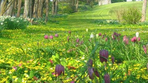 A lush garden with a variety of flowers and trees, a well-maintained lawn, and a distant view of a golf course.