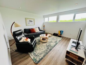 Smart TV, fireplace, books, music library