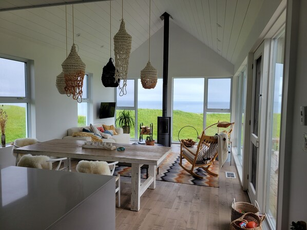 Smart TV, fireplace, books, music library