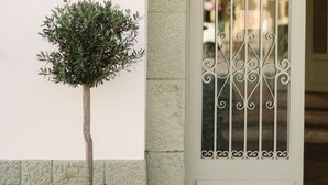 A potted tree in front of a building with a sign reading "HOTEL CAN SOLÉ". - Hotel Can Solé (Cambrils)