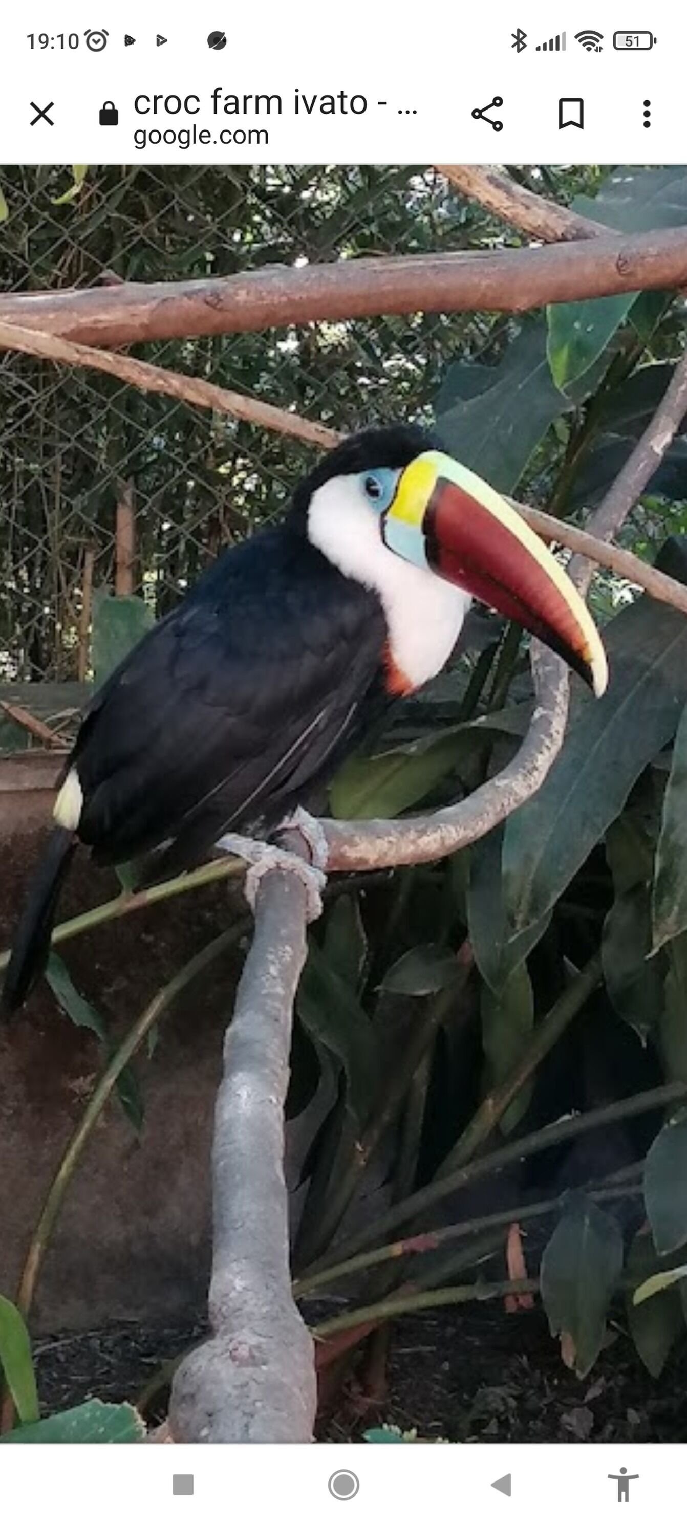 Foto - The white-orange bedroom with a pleasant view overlooking the lake