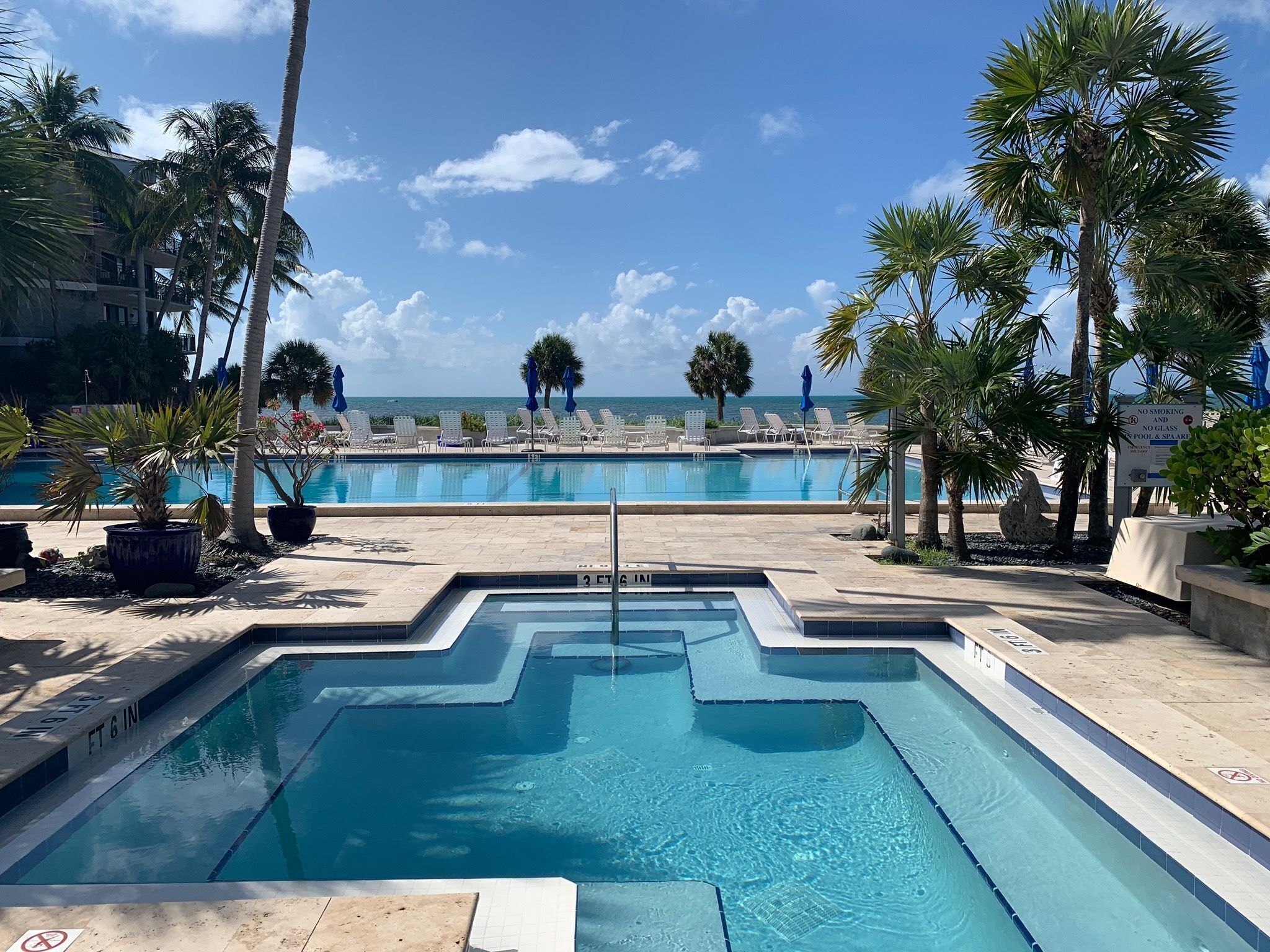 A swimming pool with a clear view of the ocean, surrounded by palm trees and lounge chairs.
