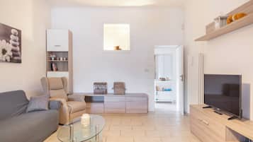 Smart TV, fireplace, books