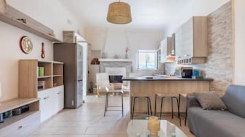 Smart TV, fireplace, books