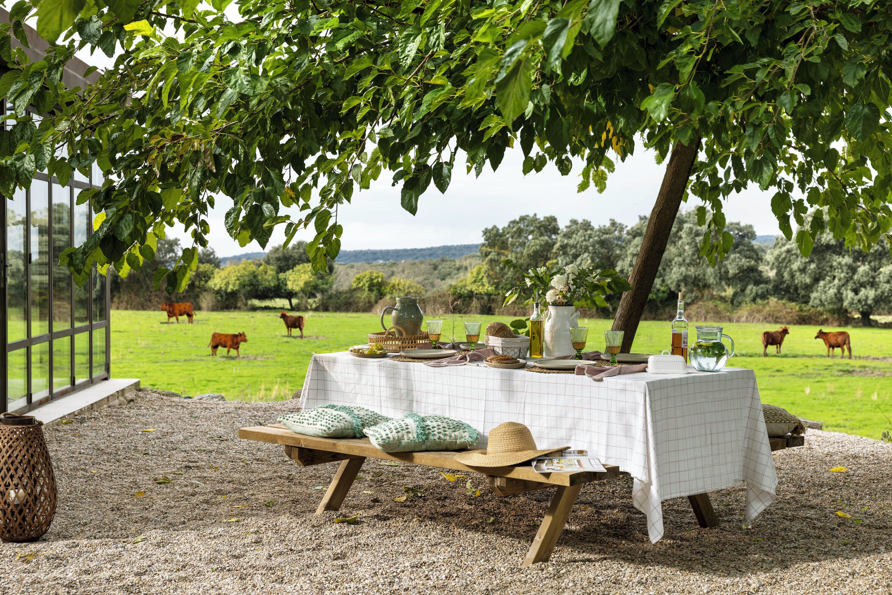 Un área de comedor al aire libre con una mesa bajo un árbol, rodeada de grava, con vacas pastando al fondo.